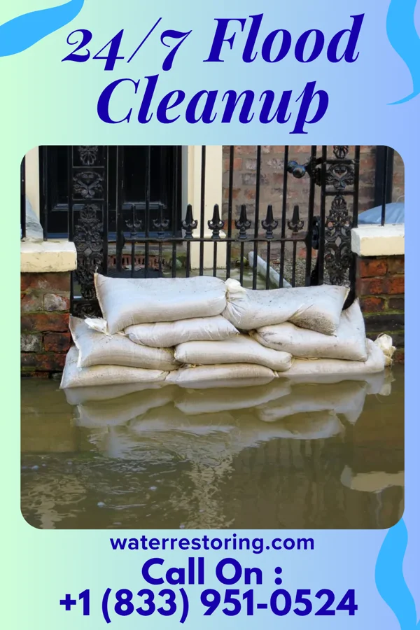 24/7 Flood Cleanup in Villa Heights, VA