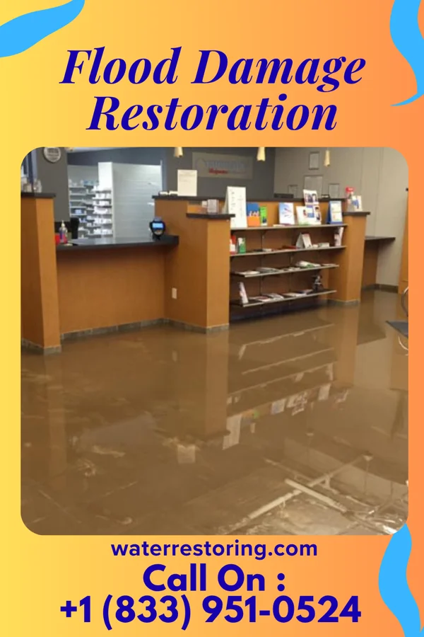 Flood Damage Restoration in Villa Heights, VA