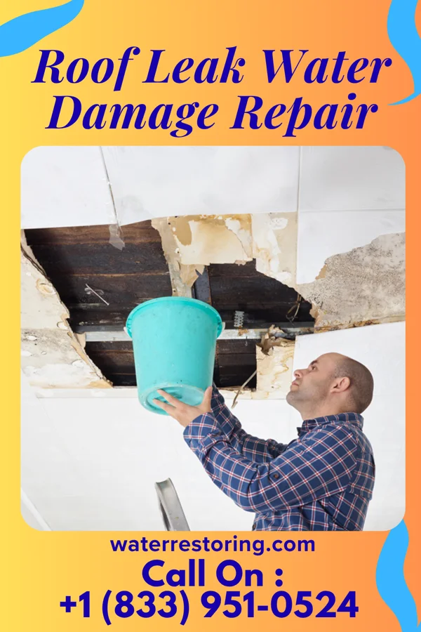 Roof Leak Water Damage Repair in Villa Heights, VA