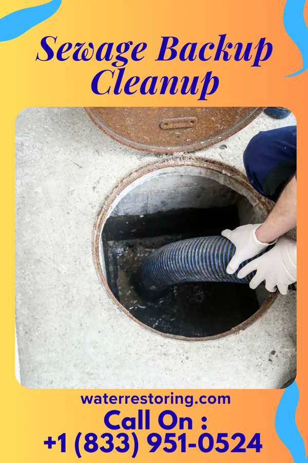 Sewage Backup Cleanup in Villa Heights, VA